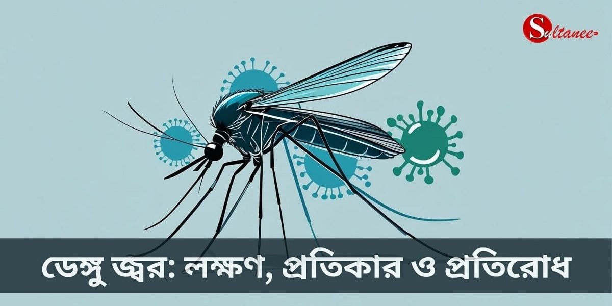 ডেঙ্গু জ্বর লক্ষণ প্রতিরোধ Aedes mosquito and Bangladesh map for dengue awareness