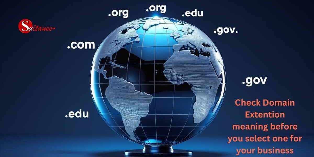 Domain Names and Their Meanings Guide illustration